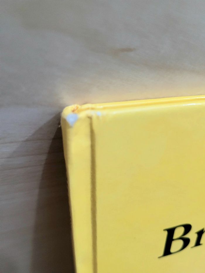 🌺 Livre rigide (école des loisirs) : Brosse et Savon - photo numéro 7