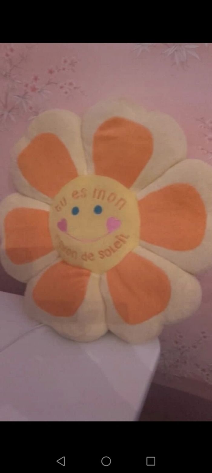 Coussin message