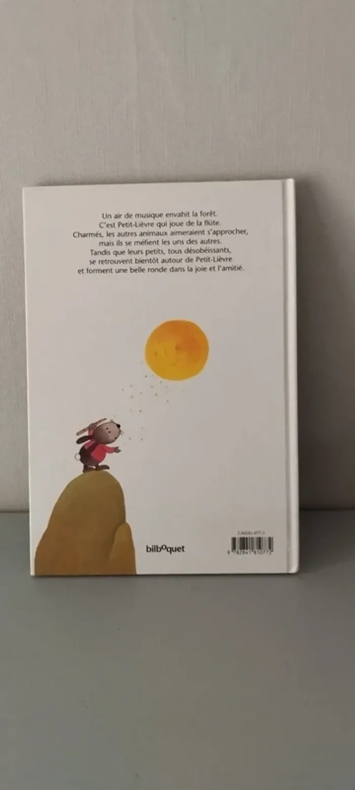 Petit lièvre fait de la musique. - photo numéro 2