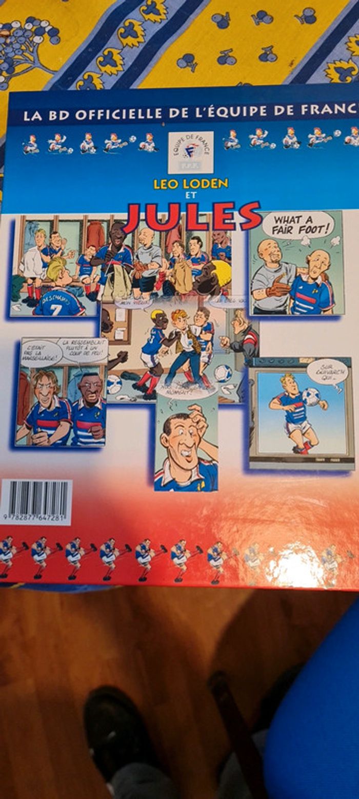 Livre équipe de France - photo numéro 2