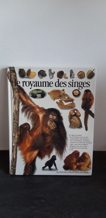 Le royaume des singes