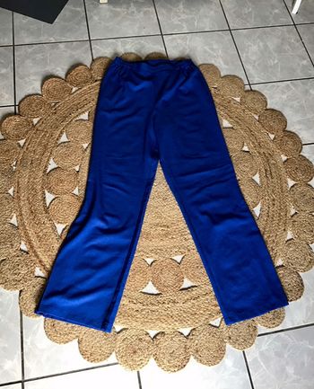 Pantalon leger  bleu taille 40 marque Godske