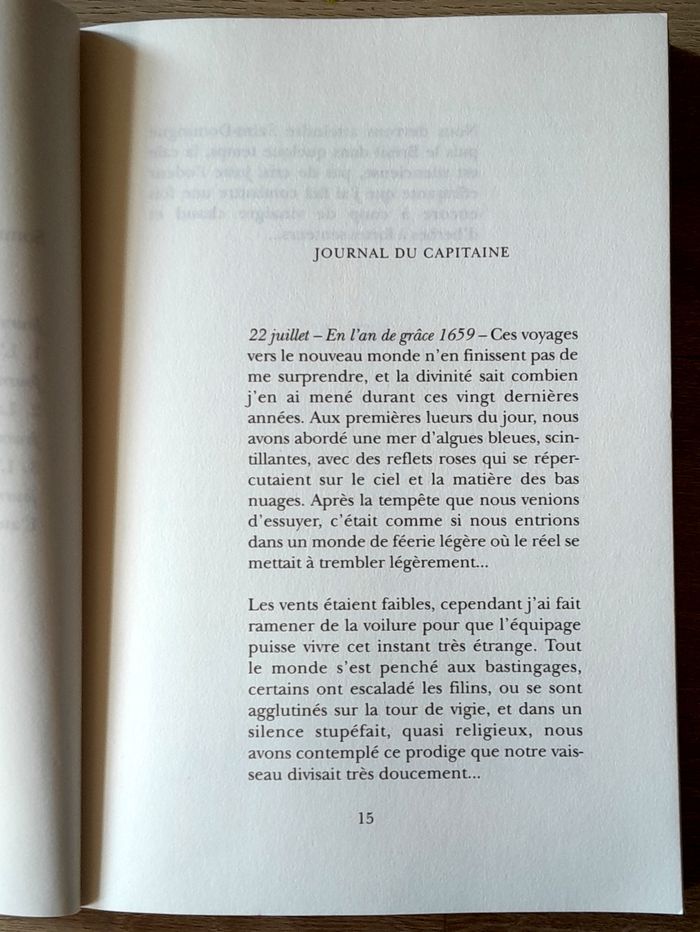 Patrick Chamoiseau - L'empreinte à Crusoé récit - photo numéro 9