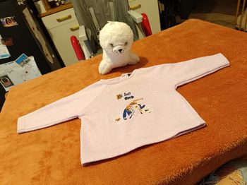 Pull bébé fille