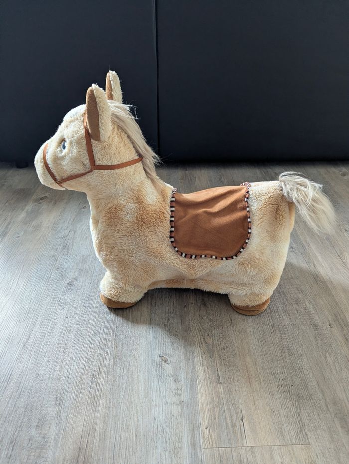 Saut a cheval 🐴 - photo numéro 2