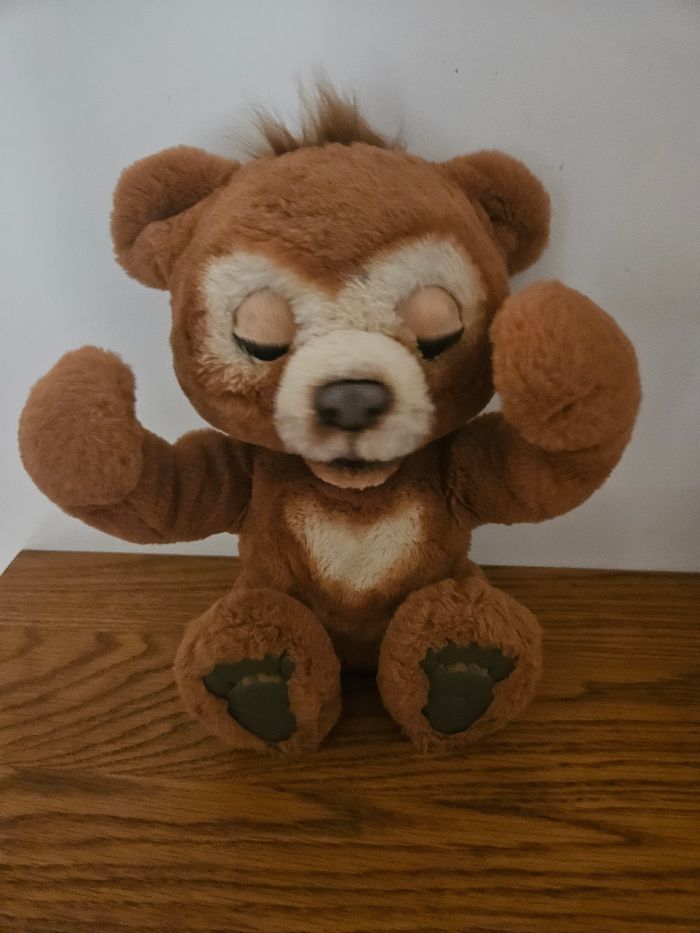 Ourson fur real - photo numéro 2