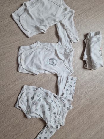 Lot 3 body in extenso 46cm prema