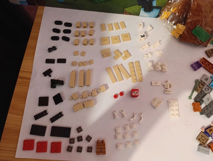 Lego Minecraft 21171 - photo numéro 4