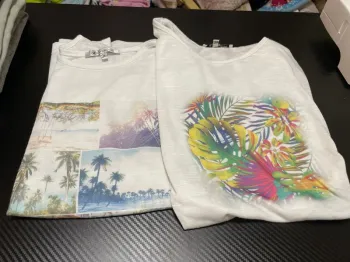 2 tee-shirt manche courte