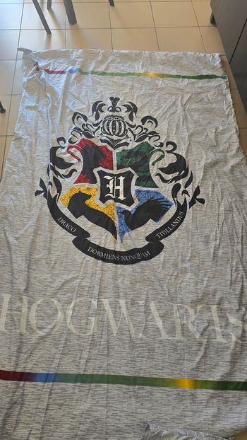 Parure de lit 1 place harry potter