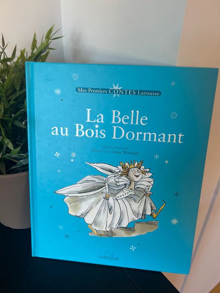 Livre enfant La belle au bois dormant