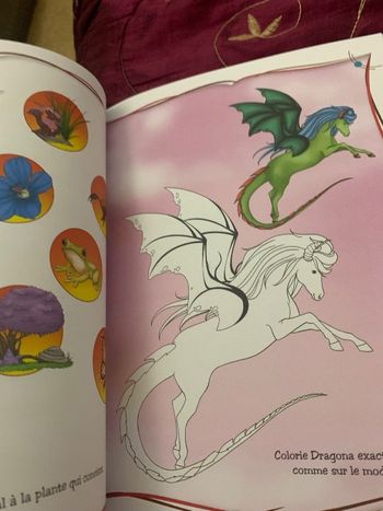 Livre activité et coloriage sur les chevaux