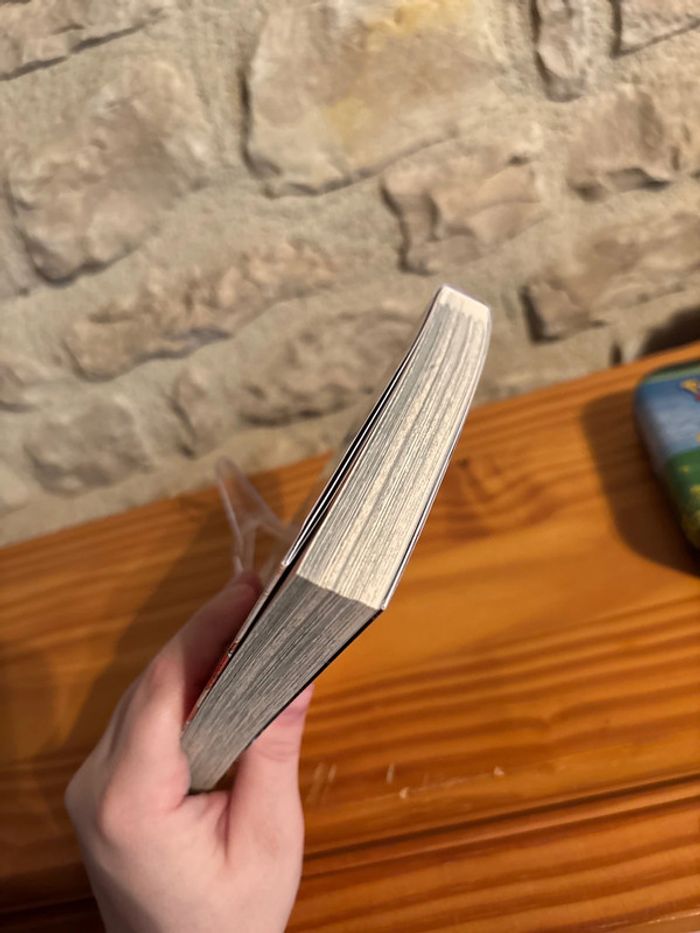 Démon slayer tome 1 - photo numéro 3