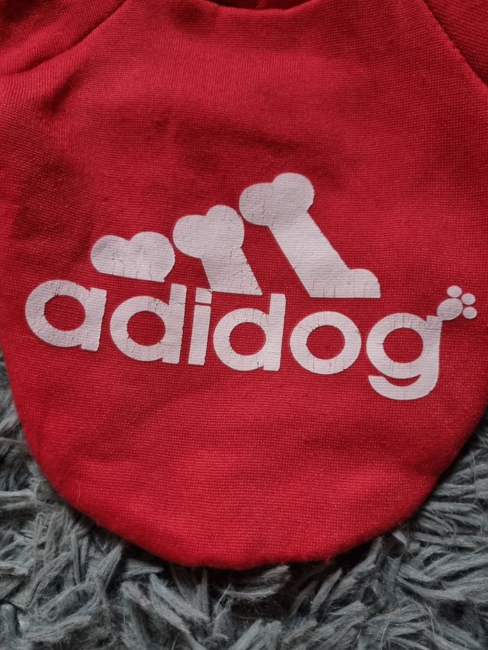 Pull rouge à capuche taille XS chien ou chat - photo numéro 10
