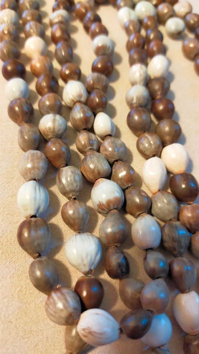 Collier long en graines naturelles – Tons bruns et crème - Collection Terres d’Ailleurs - photo numéro 5