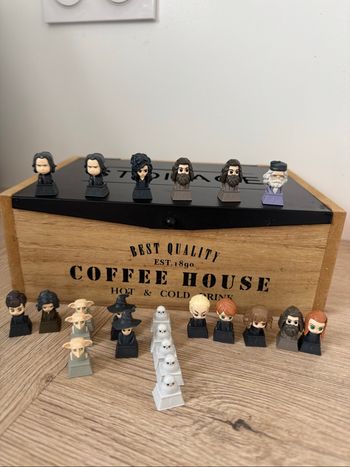 Portes crayons Harry Potter