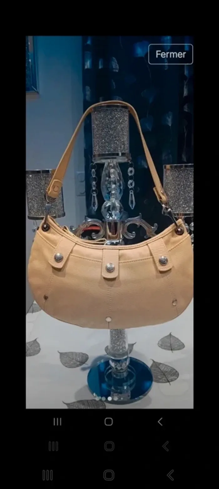 Sac porte épaule longchamp beige 15x29x2 tt est visible sur les photos