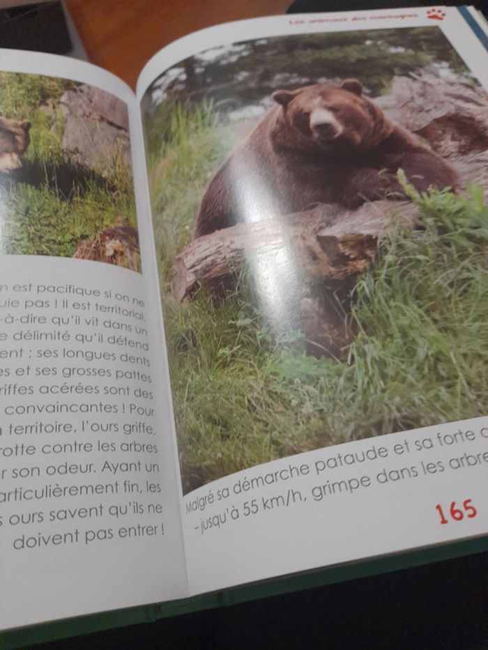 Mes animaux préférés - photo numéro 3