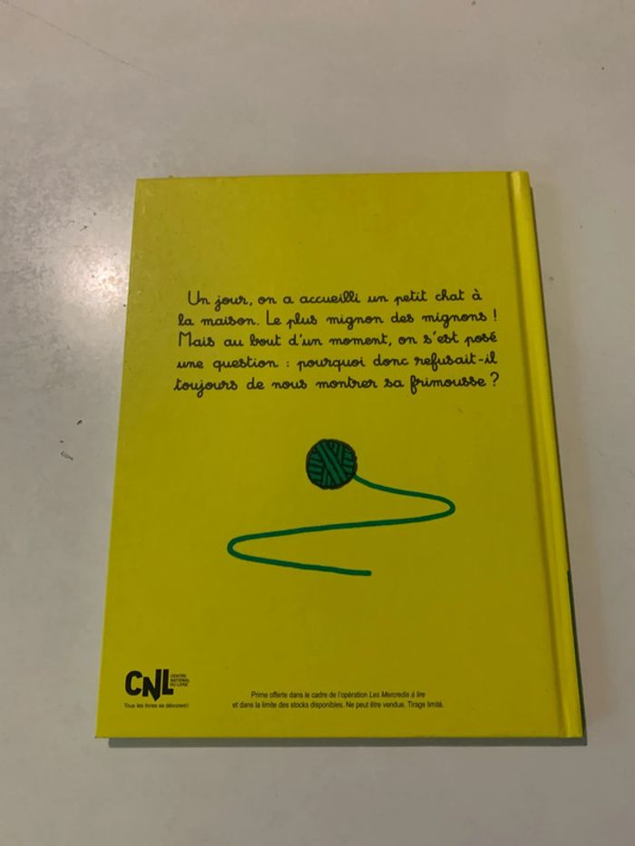 Le chat le plus mignon - photo numéro 2