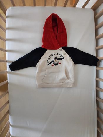 Sweat à capuche