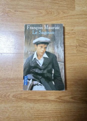 Livre Le sagouin