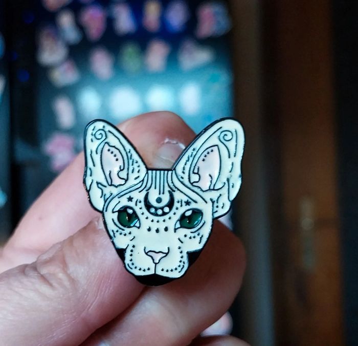 Pins chat sphynx mystique