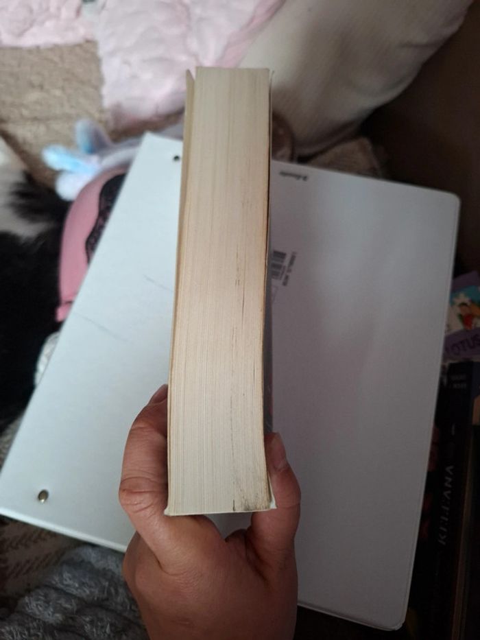 Keleana. Tome 1. L'assassineuse - photo numéro 4