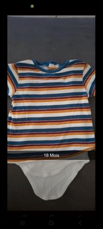 Lot de 2 bodies t-shirt manches courtes 18Mois