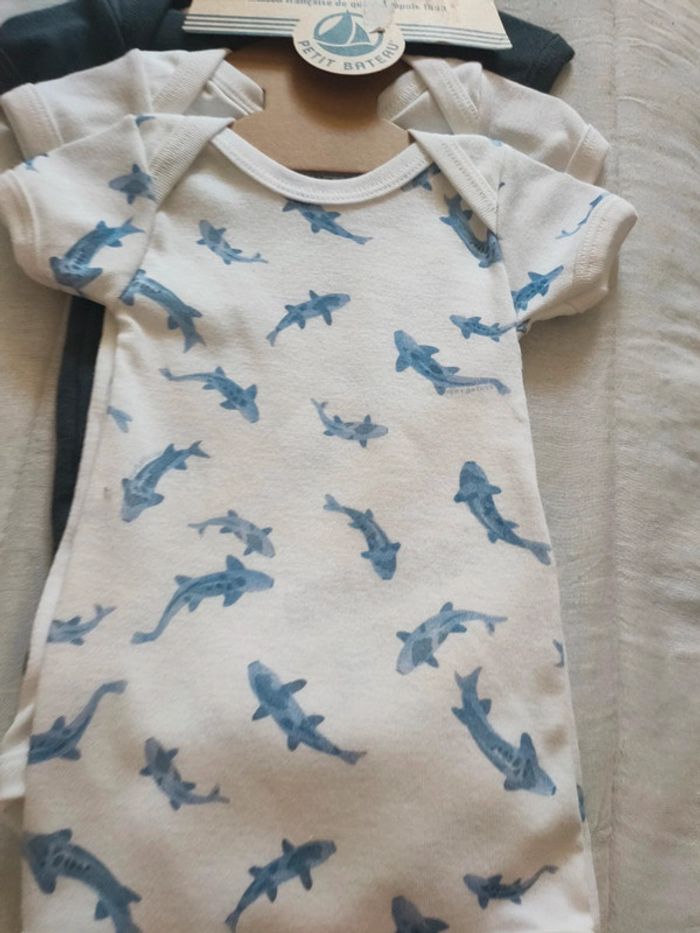 Lot de 3 body manches courtes petit bateau bio 3 mois