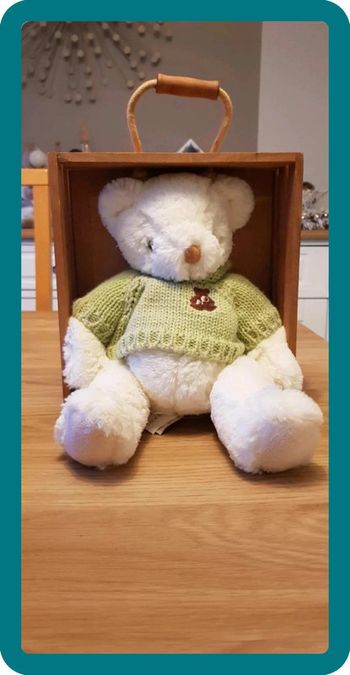 Ours pull vert Histoire d'ours neuf