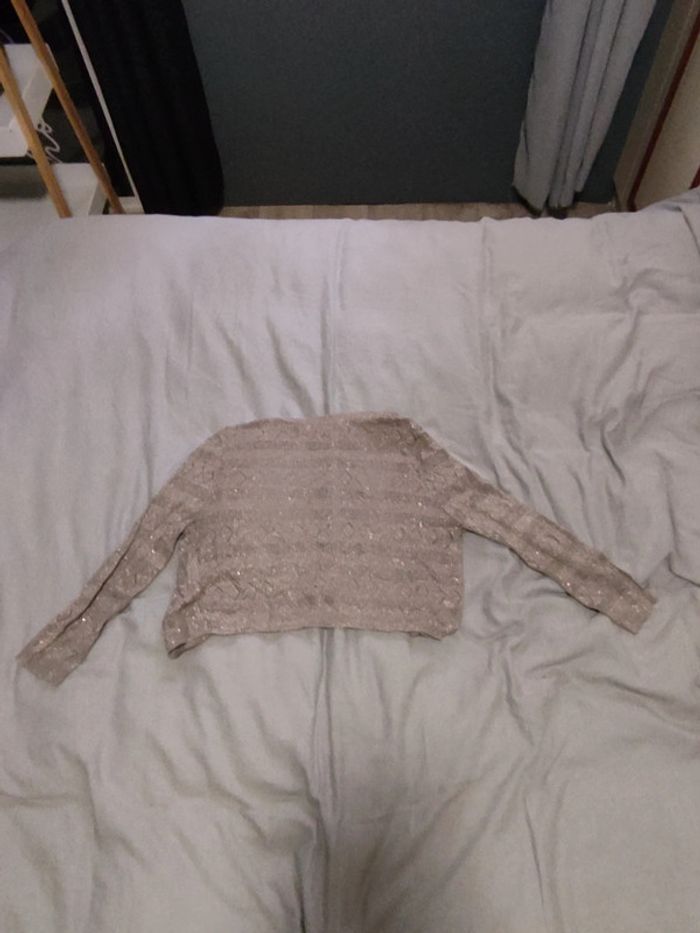 Gilet - photo numéro 4