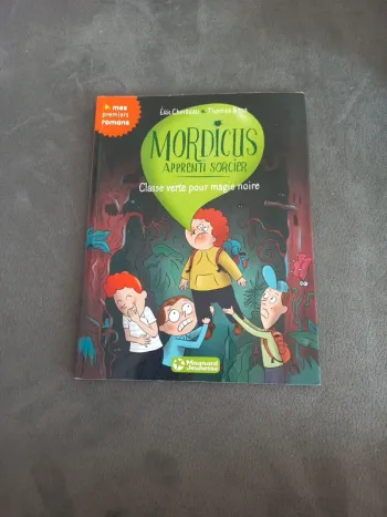Livre mordicus apprenti sorcier premiers romans magnard jeunesse