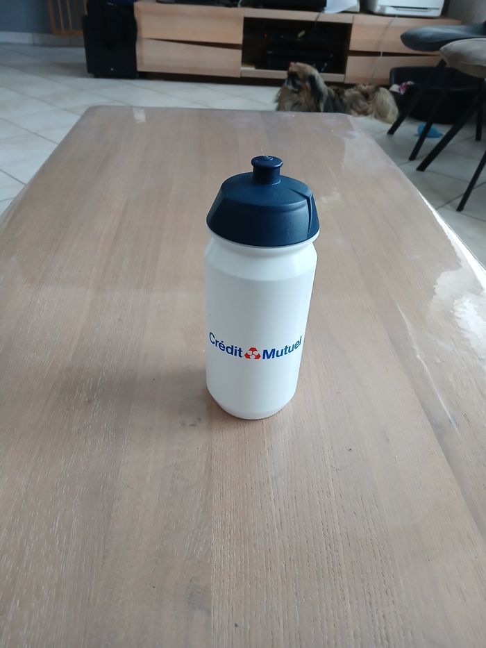 Gourde - photo numéro 2