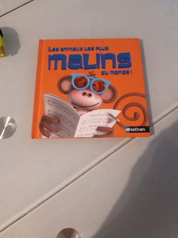 Les animaux les plus malins du monde