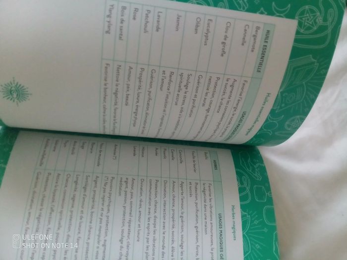 Livre wicca pour débutants - photo numéro 11