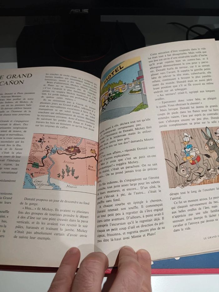Lot 3 livres vintage Disney Le monde enchanté de Walt Disney 256 page chacun dépôt légal 1978 - photo numéro 16