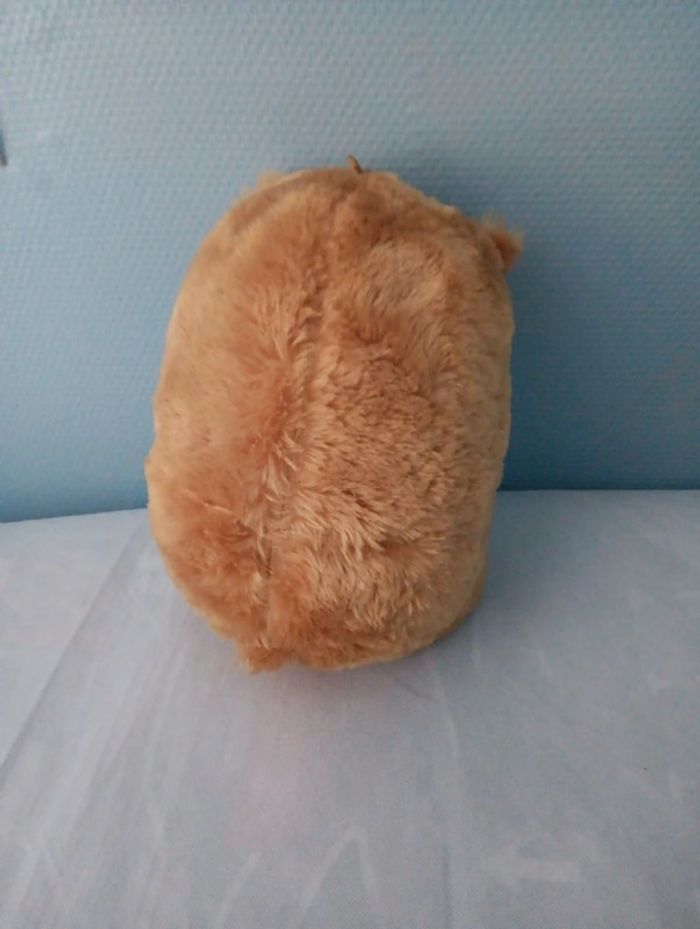 Hamster - photo numéro 2