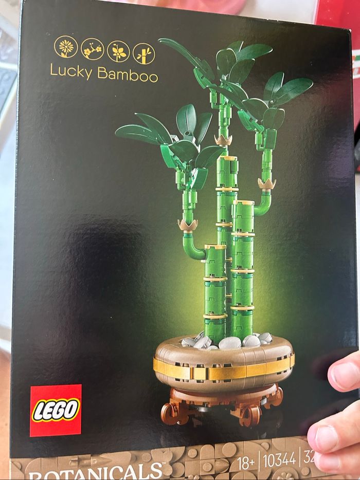 Lego bambou 10344