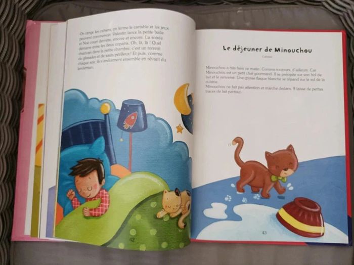 Livre d'histoires de chats et chatons - photo numéro 6