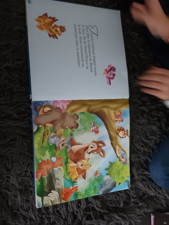 Livre d'histoire enfant - photo numéro 4