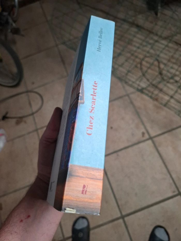 Cez Scarlette Hervé Bellec - photo numéro 3