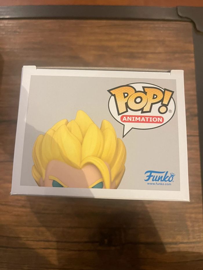 Pop super Saiyan Gogeta Chase - photo numéro 5