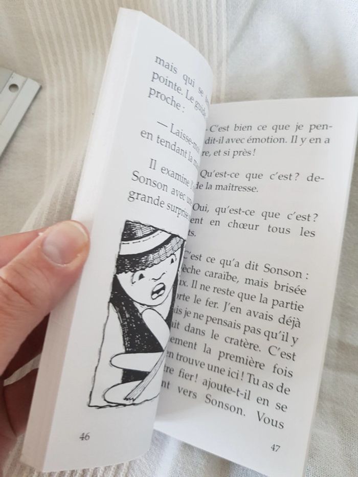 Sonson et le volcan de raymond relouzat - photo numéro 5