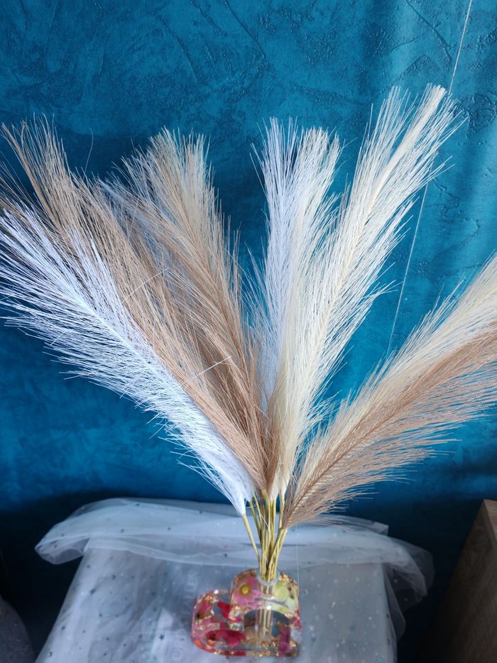 Pampas trois couleurs - photo numéro 2