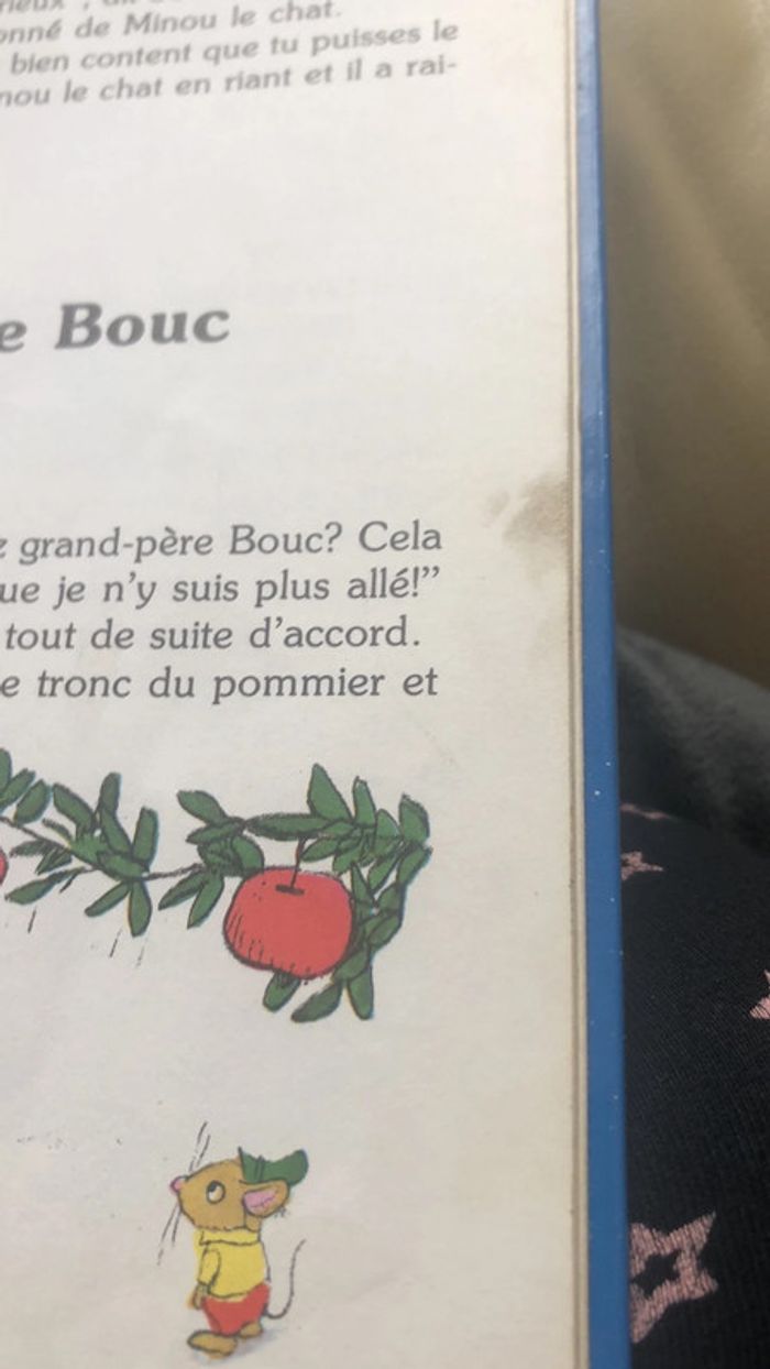 Livre - photo numéro 4