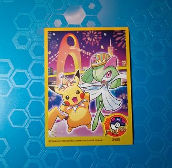 1 sleeve pokemon