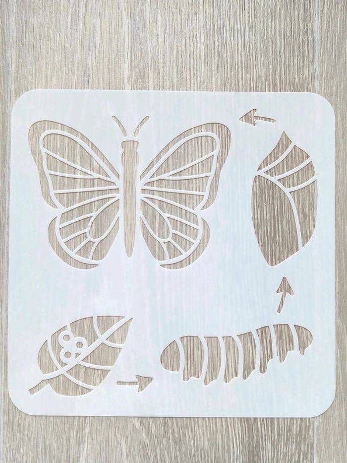 Pochoir du cycle de vie du papillon - photo numéro 2