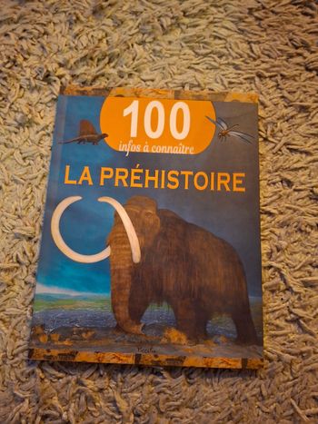 100 infos à connaître la préhistoire