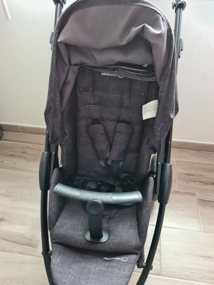 Stella trio - photo numéro 5