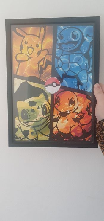 Cadre pokemon